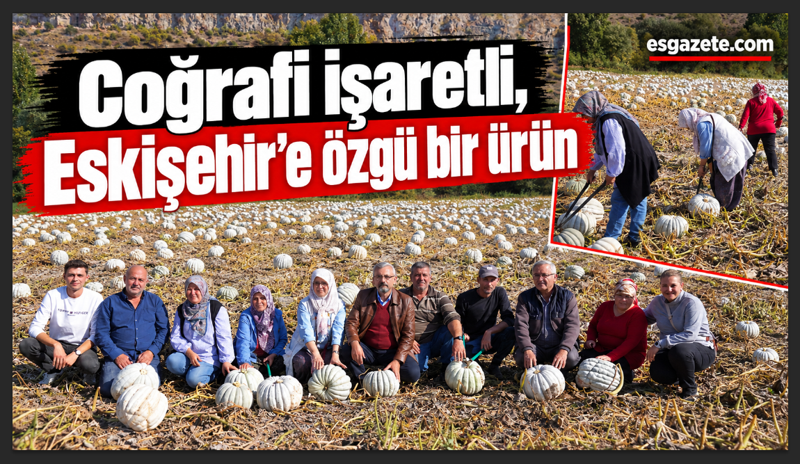Kızılinler’de balkabağı hasadı yapıldı